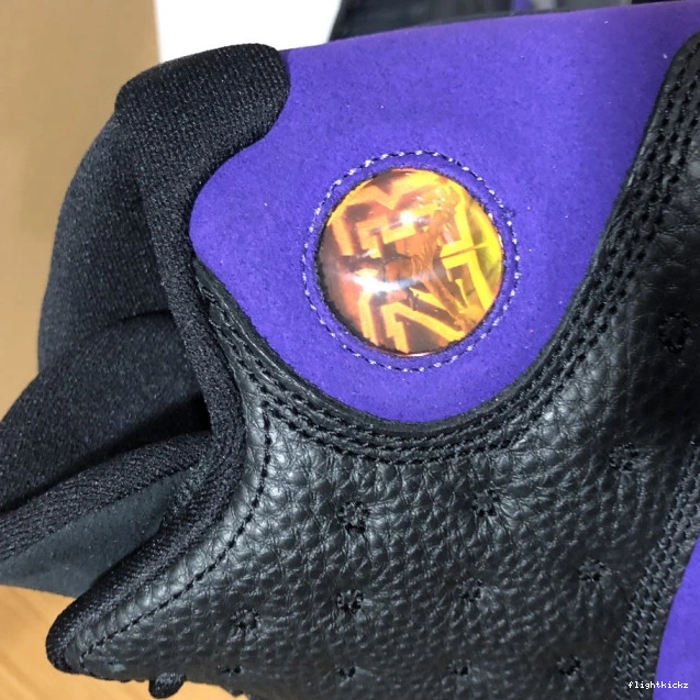 Purple Jordan Air Court DJ5982-015 13 1112